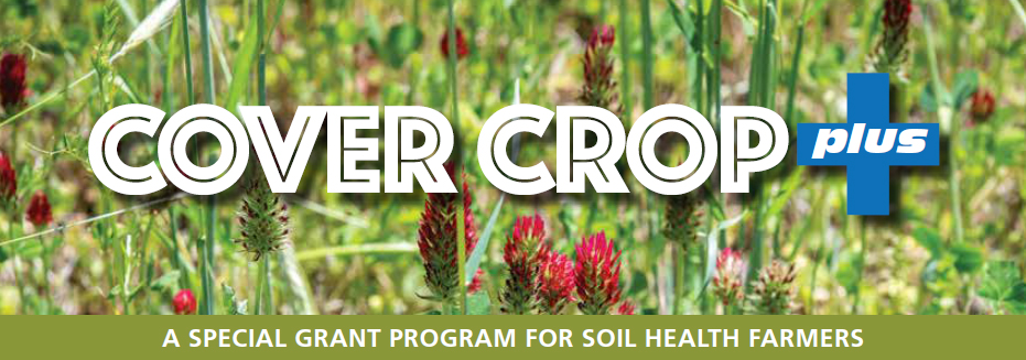 Closeup of crimson clover field  with headline: Cover Crop Plus